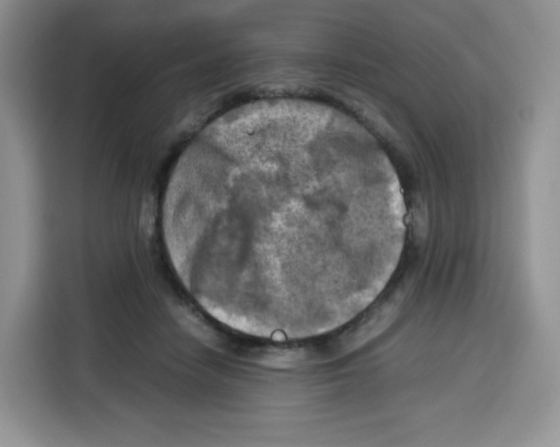 X0000115100458200911241237