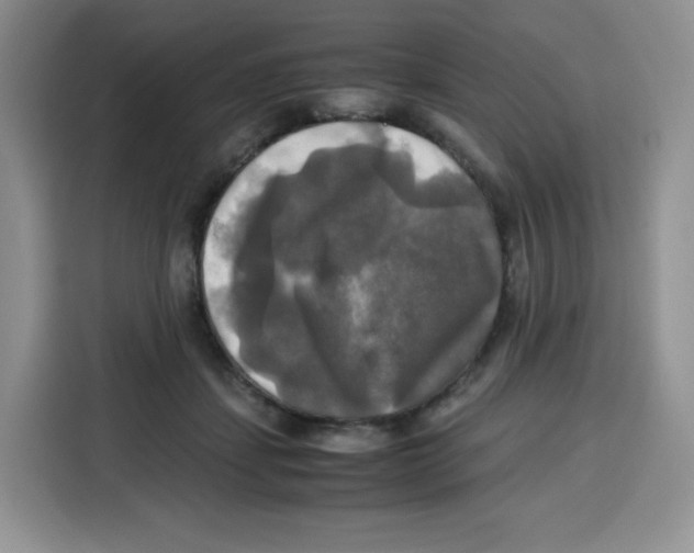 X0000115100459200911241237