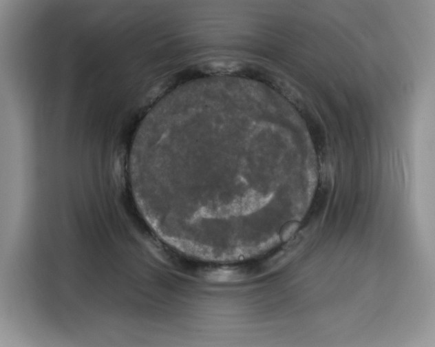 X0000115100460200911241237