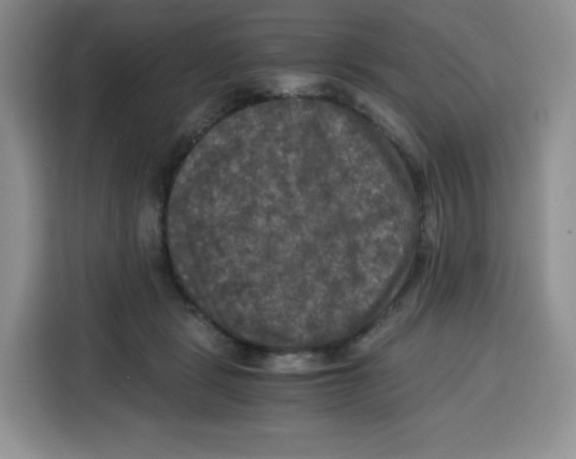 X0000115100461200911241237