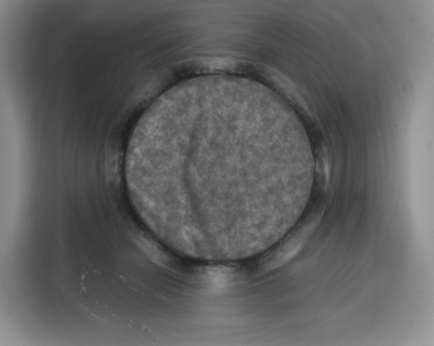 X0000115100462200911241237