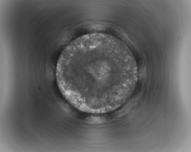 X0000115100464200911241237