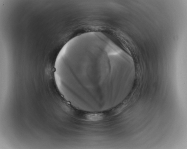 X0000115100465200911241237