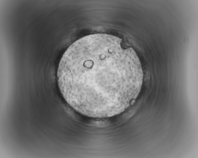 X0000115100466200911241237