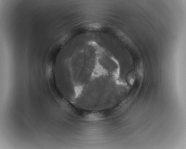 X0000115100468200911241237