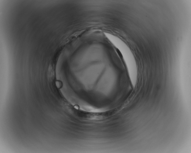 X0000115100471200911241237