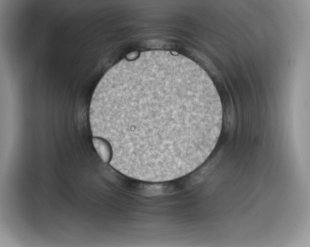 X0000115100473200911241237