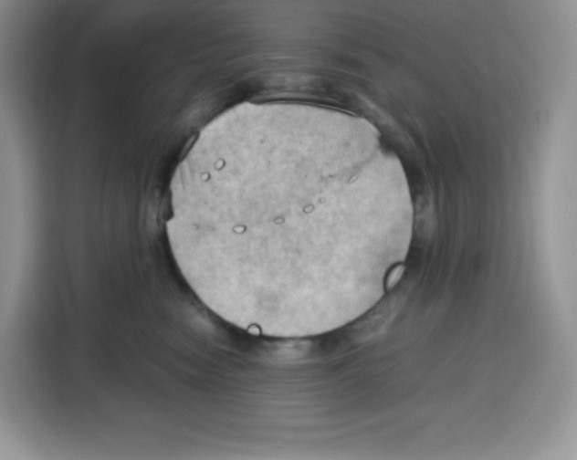 X0000115100474200911241237