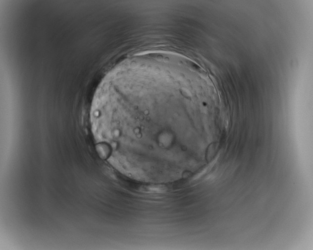 X0000115100475200911241237