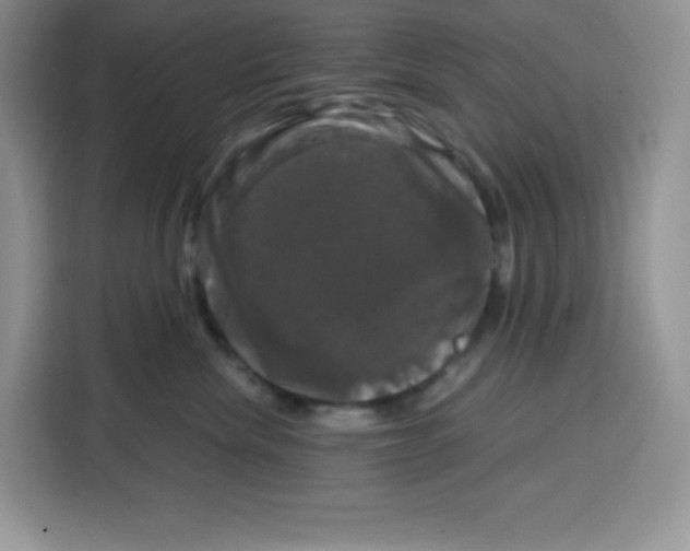 X0000115100476200911241237