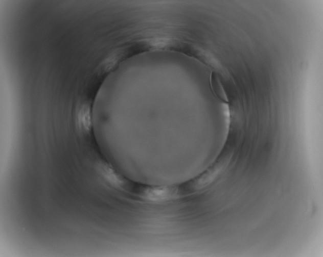 X0000115100479200911241237