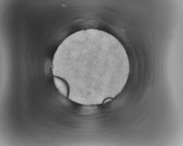 X0000115100480200911241237