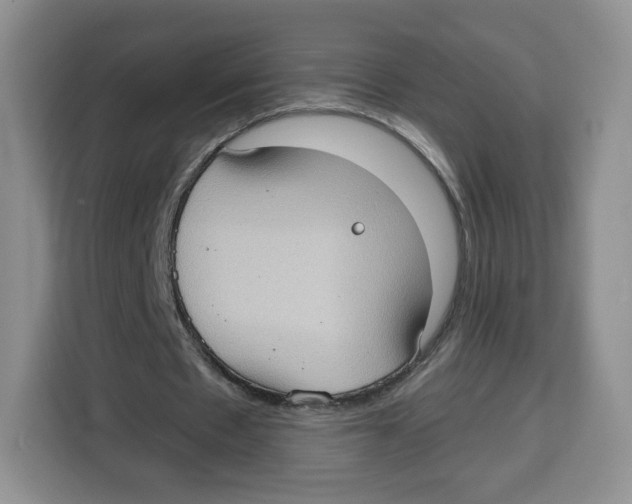 X0000115100481200911241236