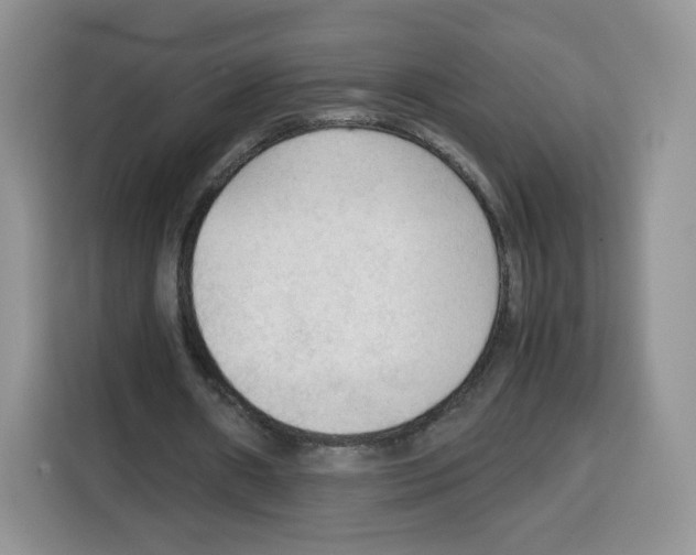 X0000115100482200911241236