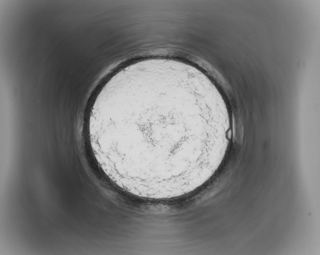 X0000115100483200911241236