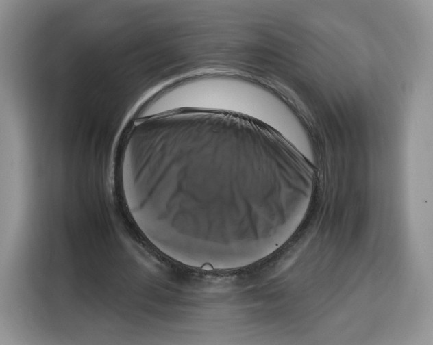 X0000115100484200911241236