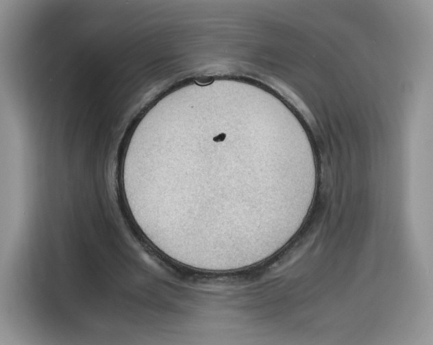 X0000115100485200911241236