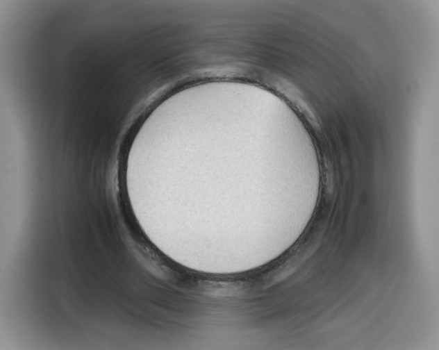 X0000115100486200911241236