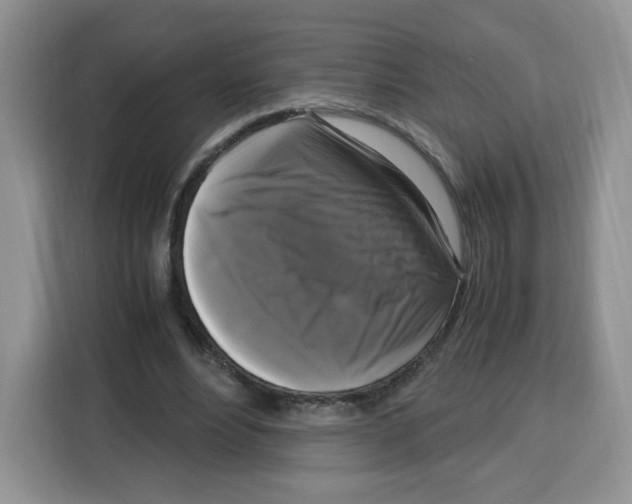 X0000115100488200911241236