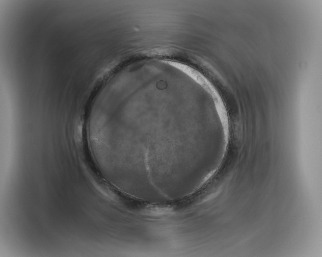 X0000115100491200911241236