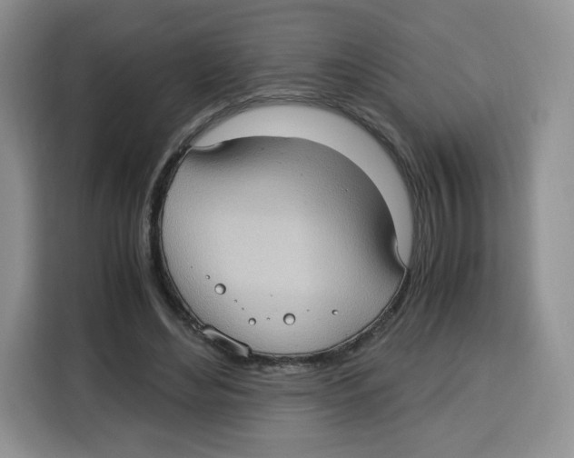 X0000115100492200911241236