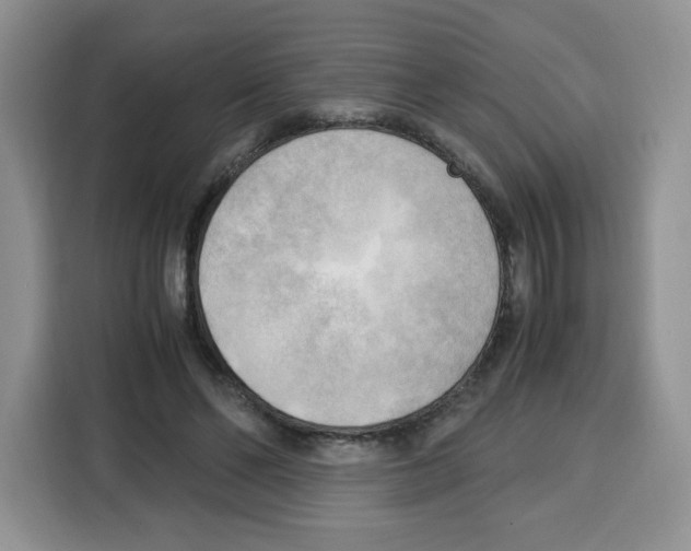 X0000115100494200911241236