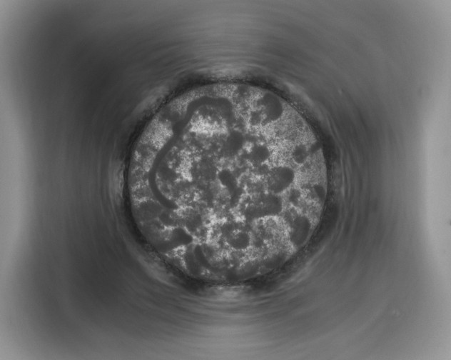 X0000115100495200911241236