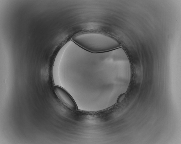 X0000115100496200911241236