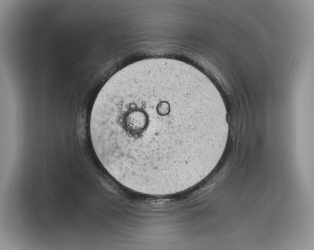 X0000115100497200911241236