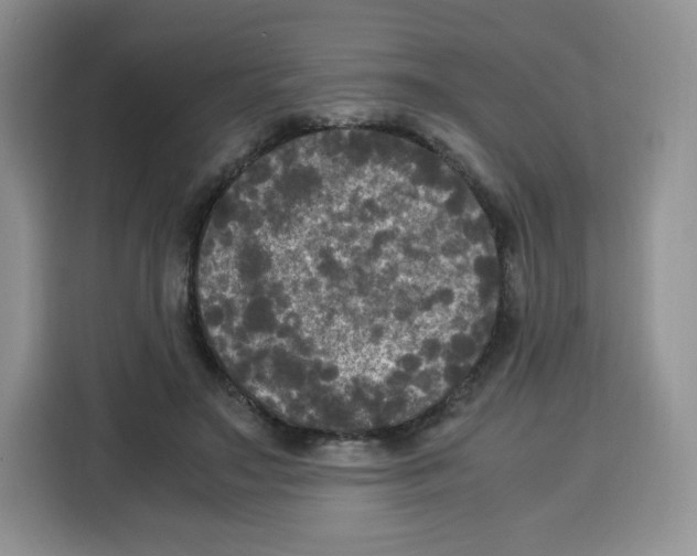 X0000115100499200911241236