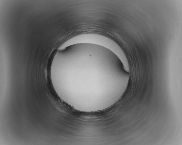 X0000115100500200911241236