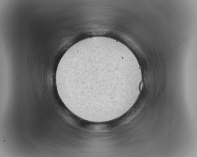 X0000115100501200911241236