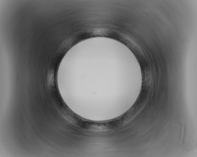 X0000115100502200911241236