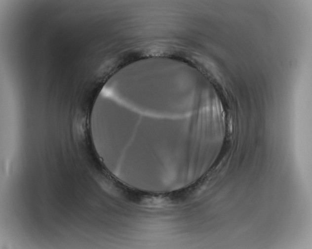 X0000115100503200911241236