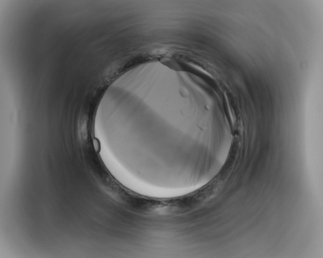 X0000115100504200911241236