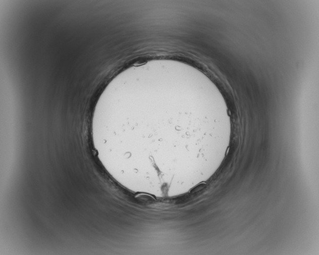 X0000115100505200911241236