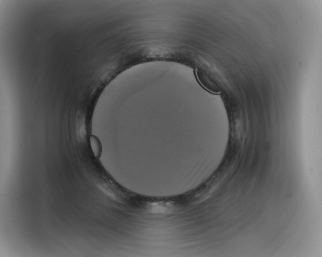 X0000115100508200911241236