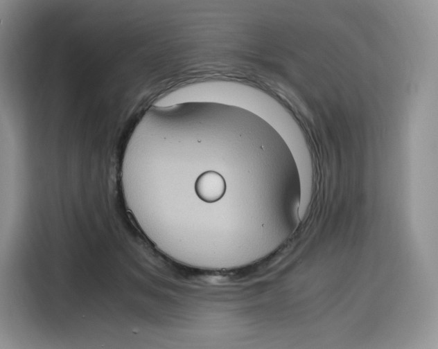 X0000115100509200911241236