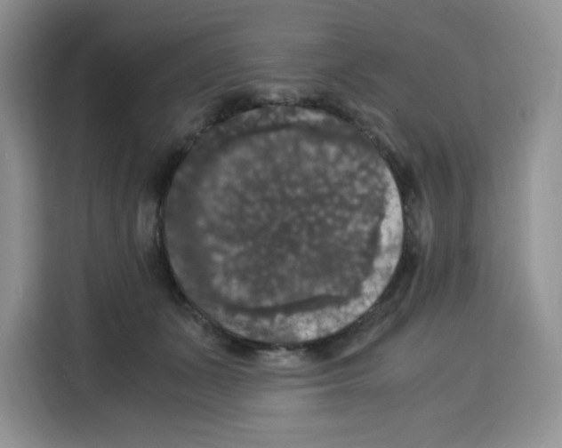 X0000115100511200911241236