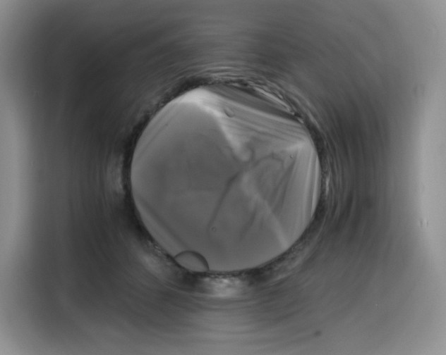 X0000115100512200911241236