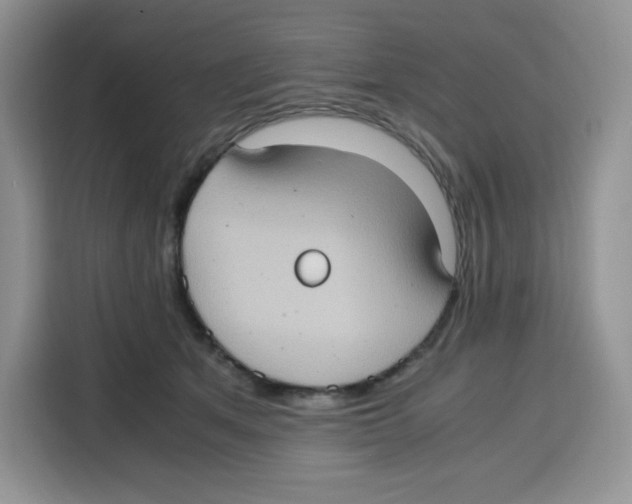 X0000115100513200911241236