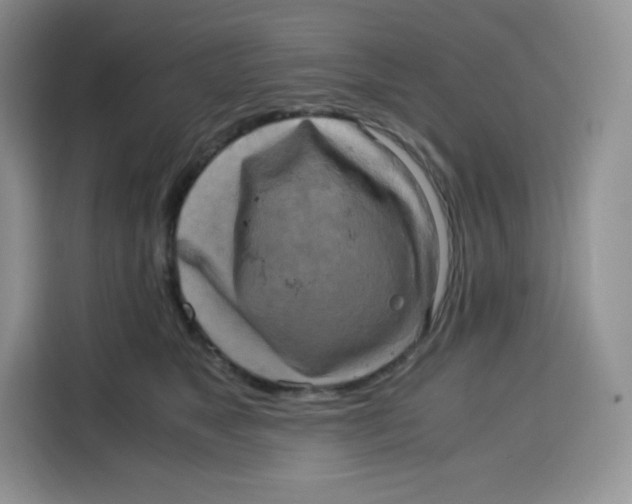 X0000115100517200911241236