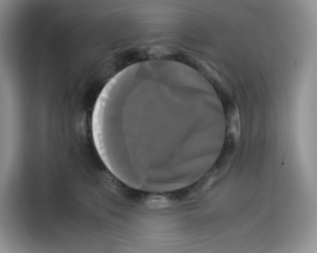 X0000115100519200911241236