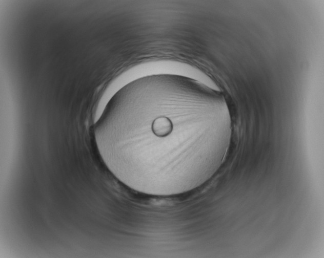 X0000115100520200911241236