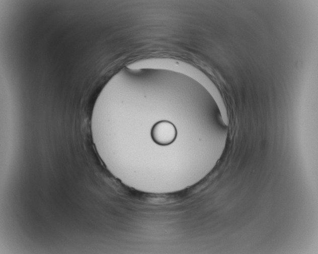 X0000115100521200911241236