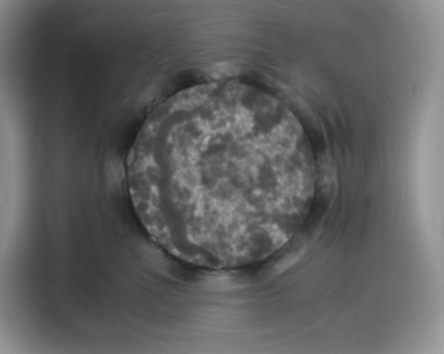 X0000115100523200911241236