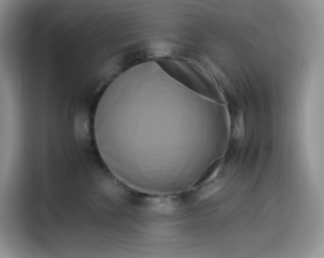 X0000115100524200911241236