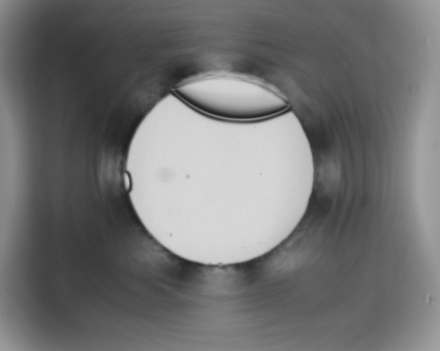 X0000115100525200911241236