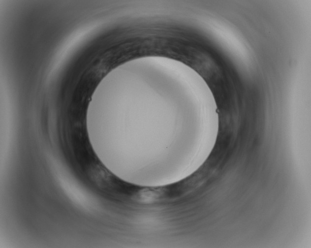 X0000115100526200911241236