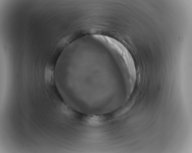 X0000115100527200911241236